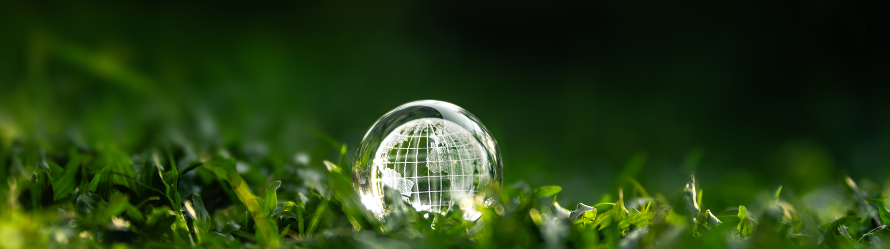 ESG ile Sürdürülebilirlik